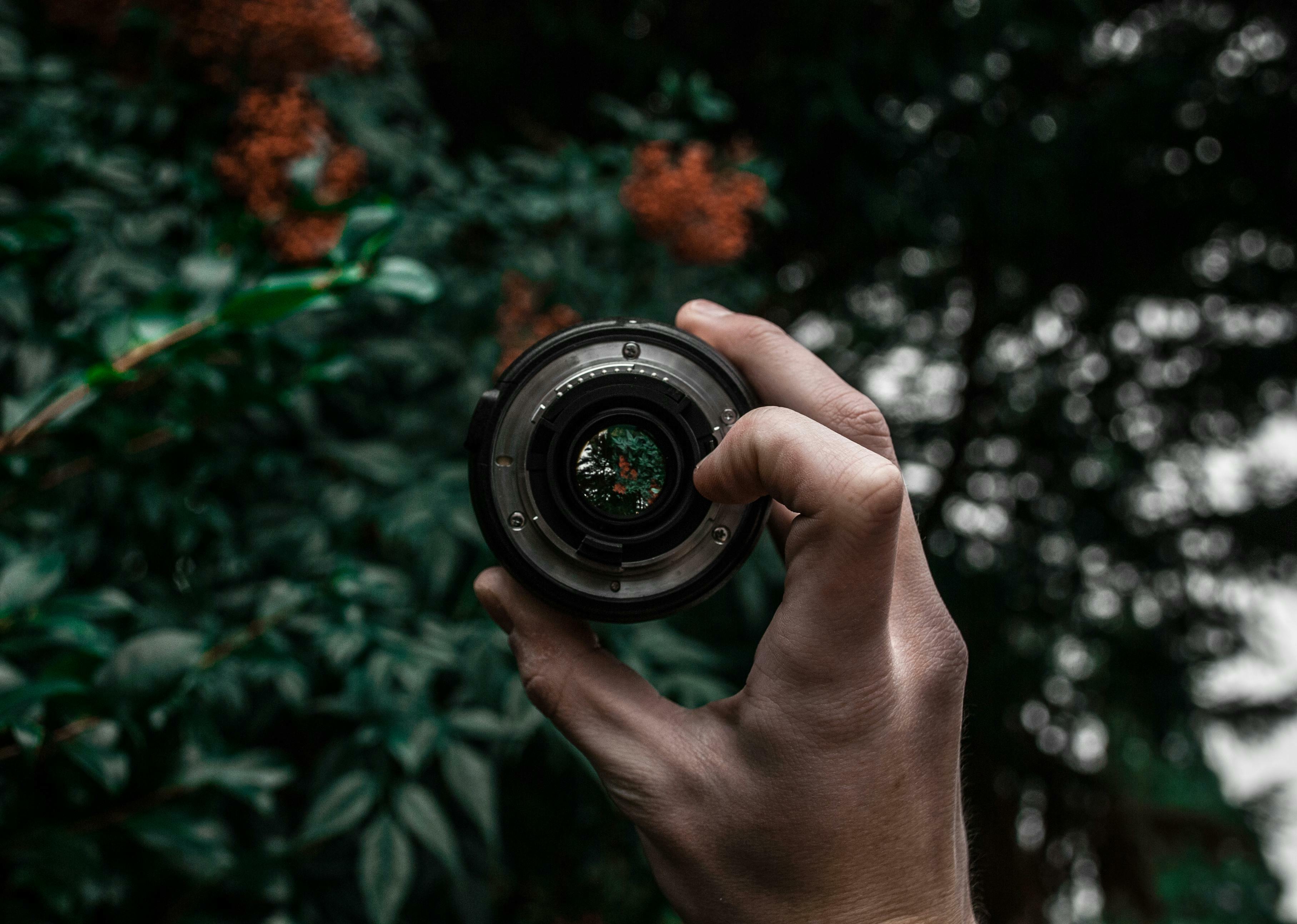 9 of the Easiest Electives to Consider-image