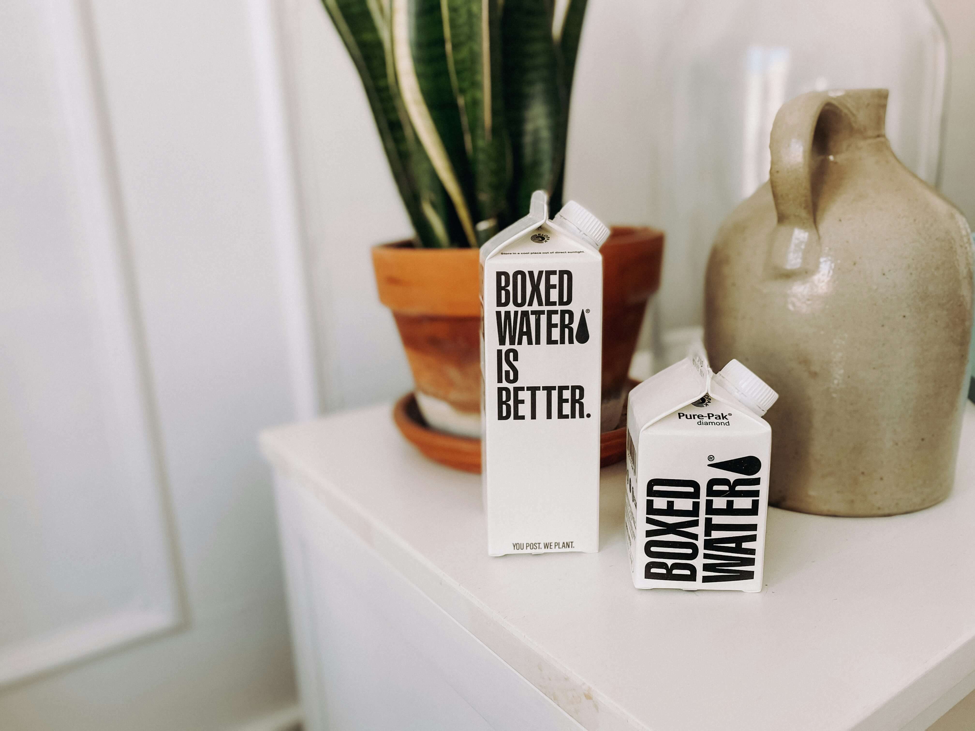 5 Zero-Waste Tips to Reduce Your Carbon Footprint as a Student-image