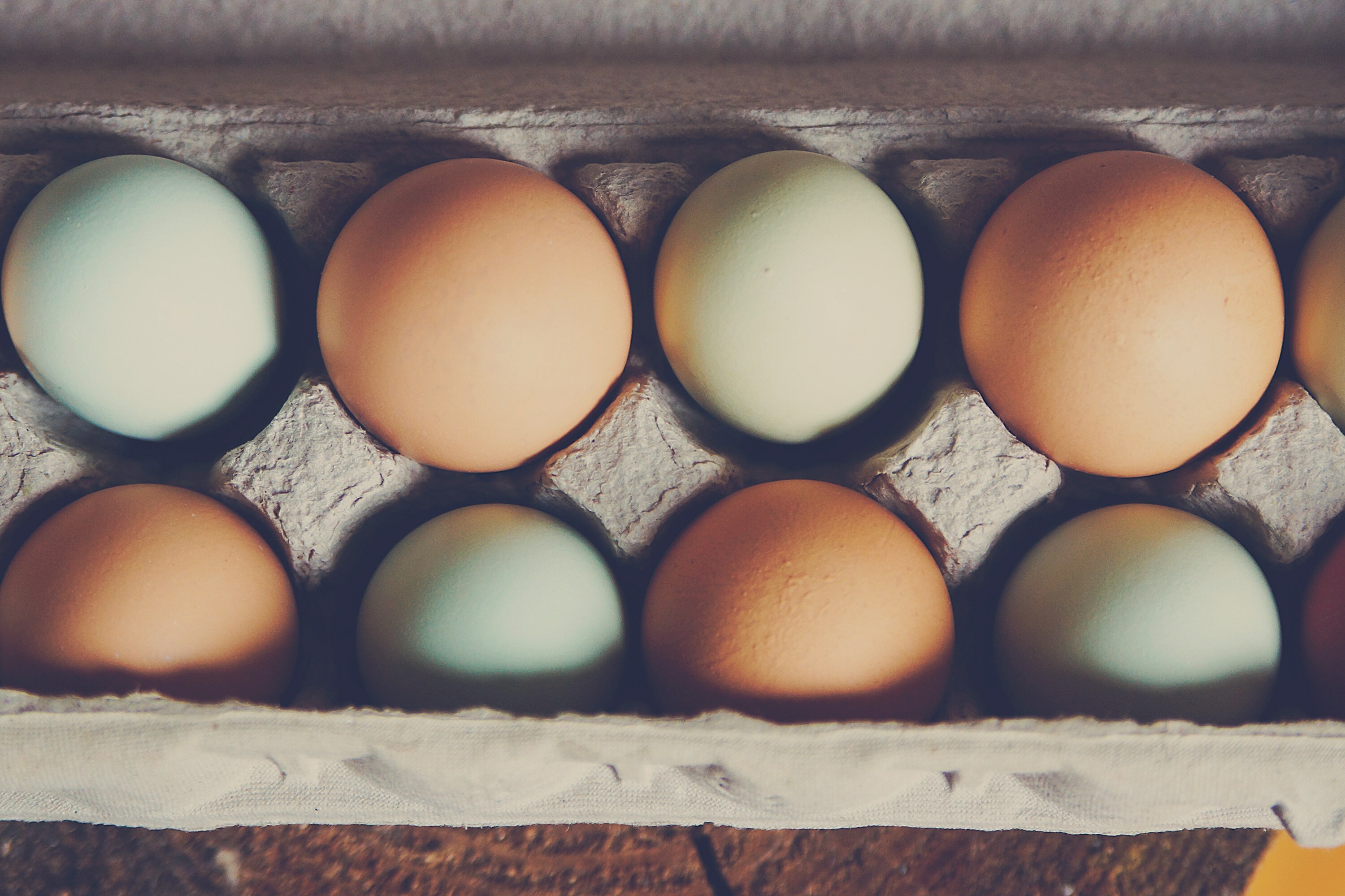 6 Quick Recipes to Make in Your Student Apartment-image