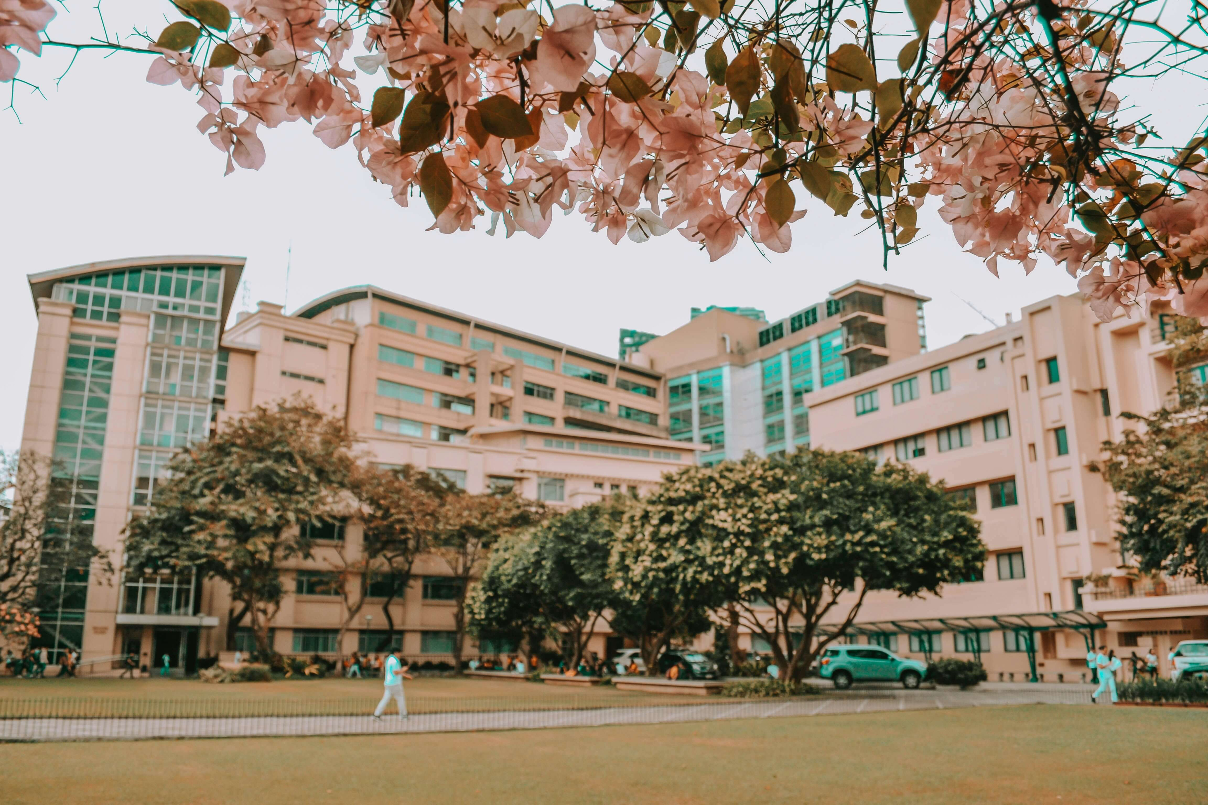 8 Tips for Exploring Your University Town-image