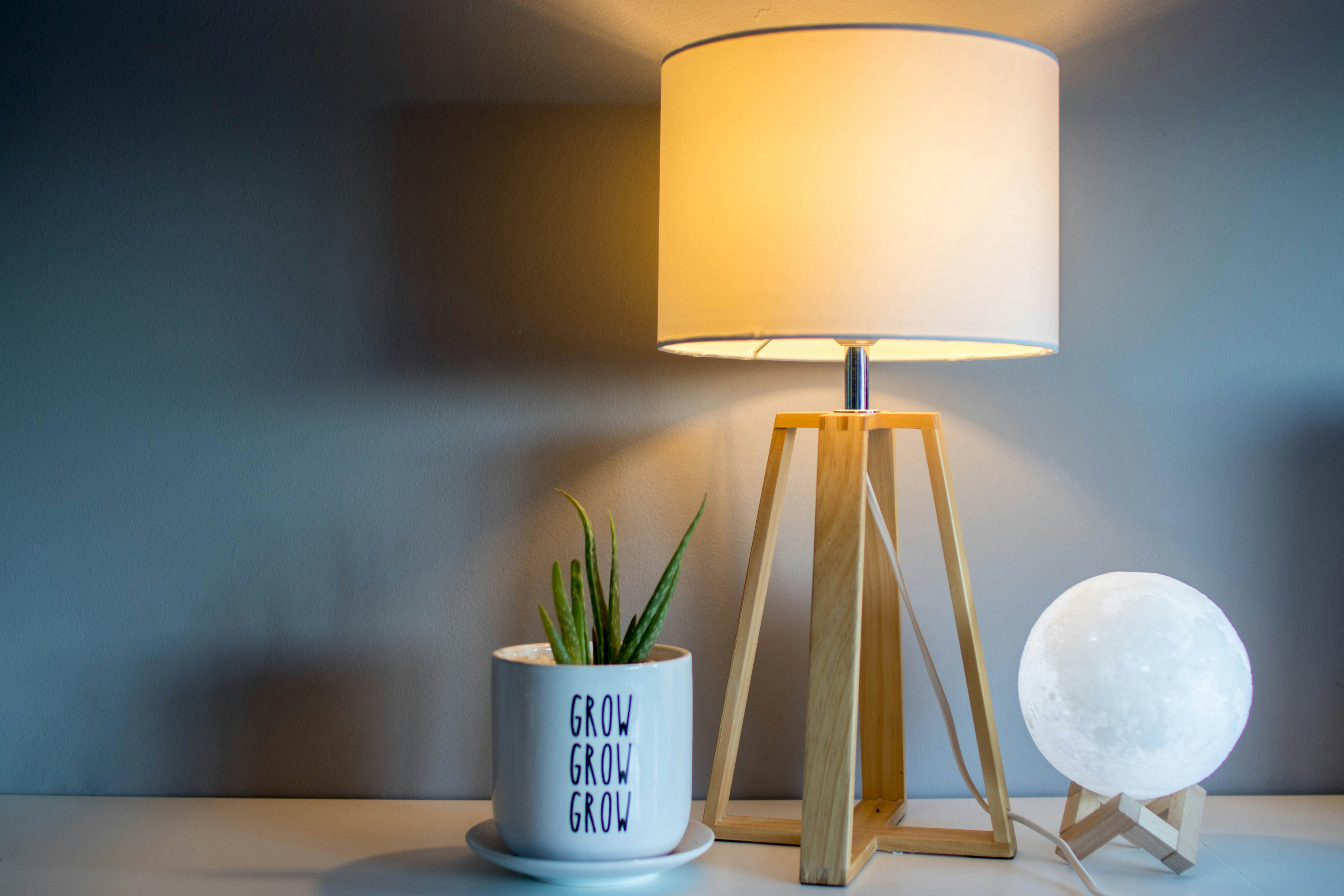 7 Must-Have Student Apartment Essentials-image
