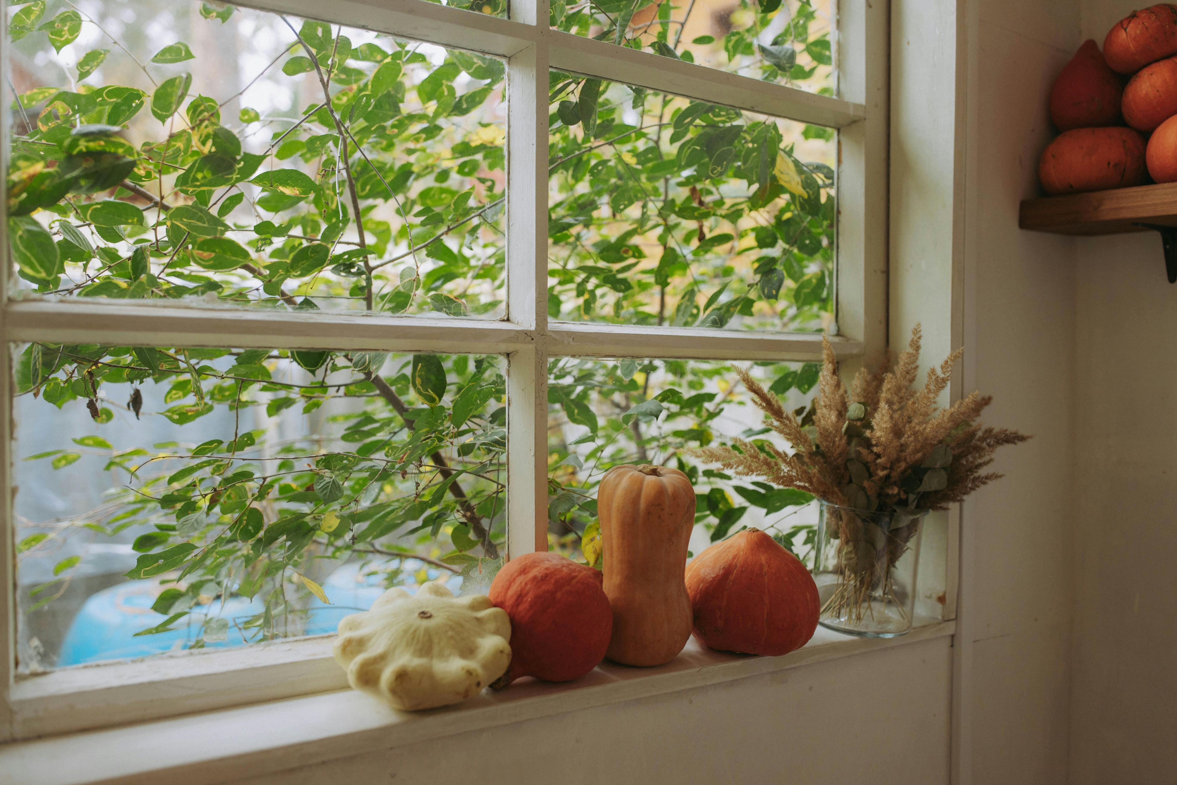 How to Decorate Your Student Apartment for Halloween-image