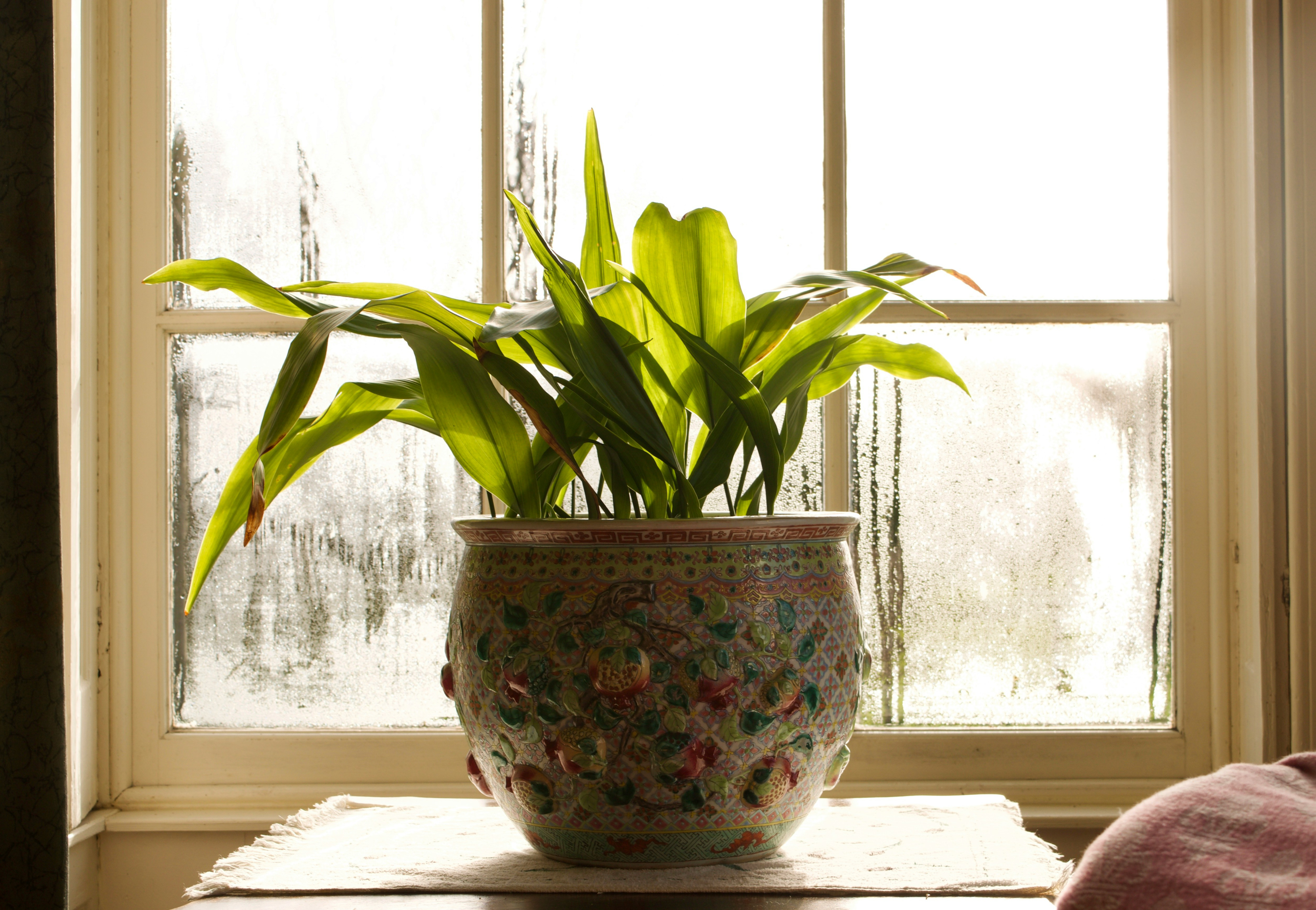 6 Tips for Making Your Student Apartment Both Cozy and Productive-image