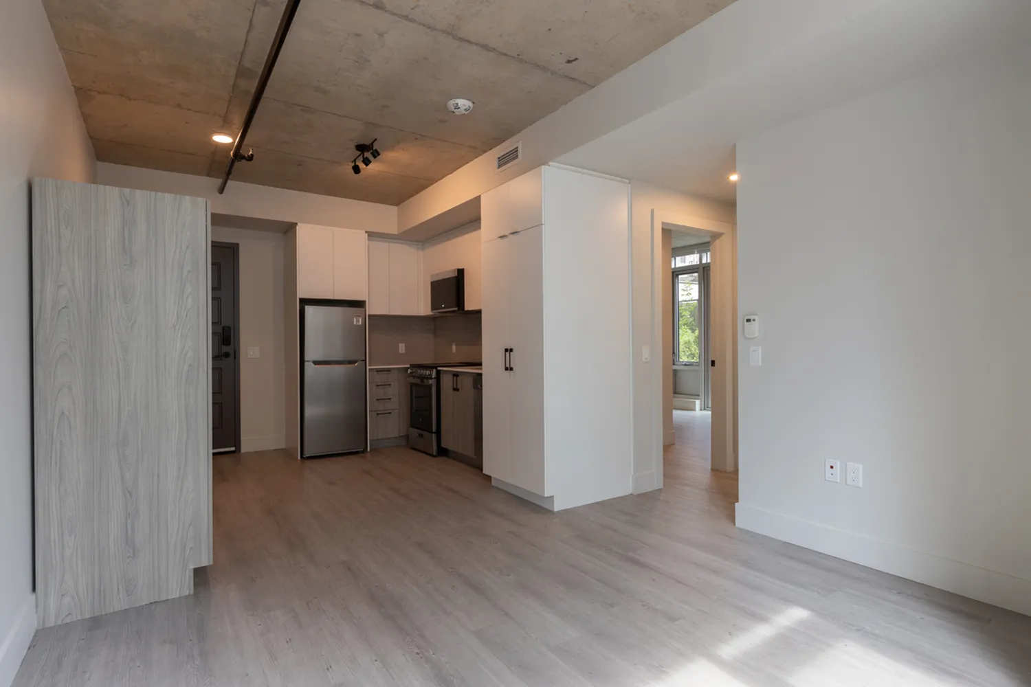 Modern open-concept kitchen with sleek appliances and light wood flooring, leading into a bright living space.