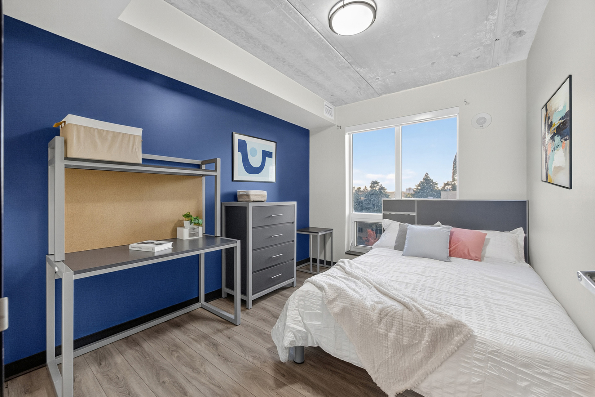 Contemporary bedroom with a vibrant blue accent wall, modern desk setup, and cozy bed with large window view.