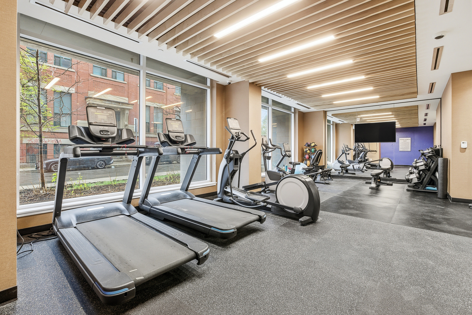 Modern fitness center with high-end cardio equipment, sleek design, and expansive windows for natural light.
