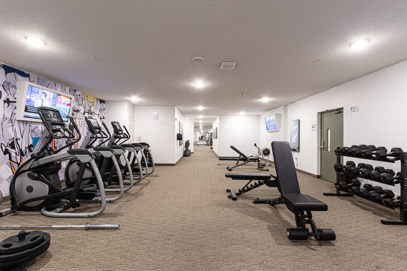 Modern Gym Interior