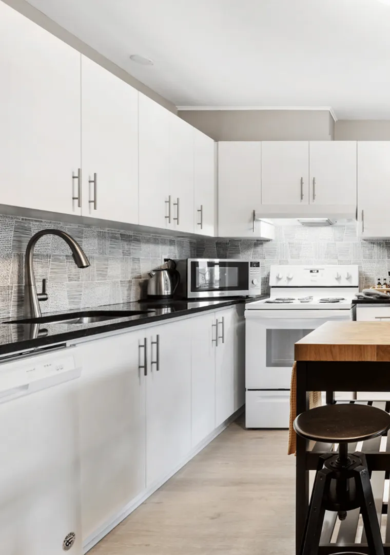 white kitchen with modern appliances