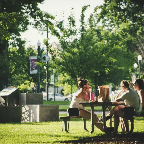 Students in a park