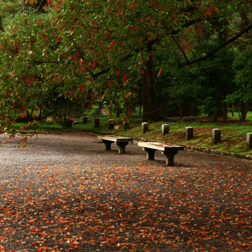 Park