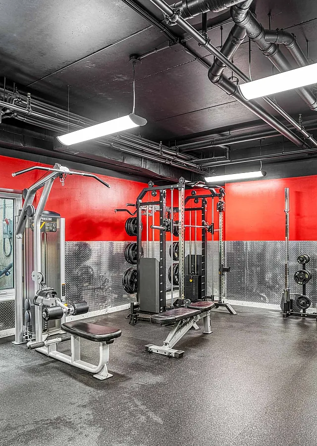 Modern fitness center with vibrant red and blue walls, featuring state-of-the-art gym equipment and ample space for workouts.