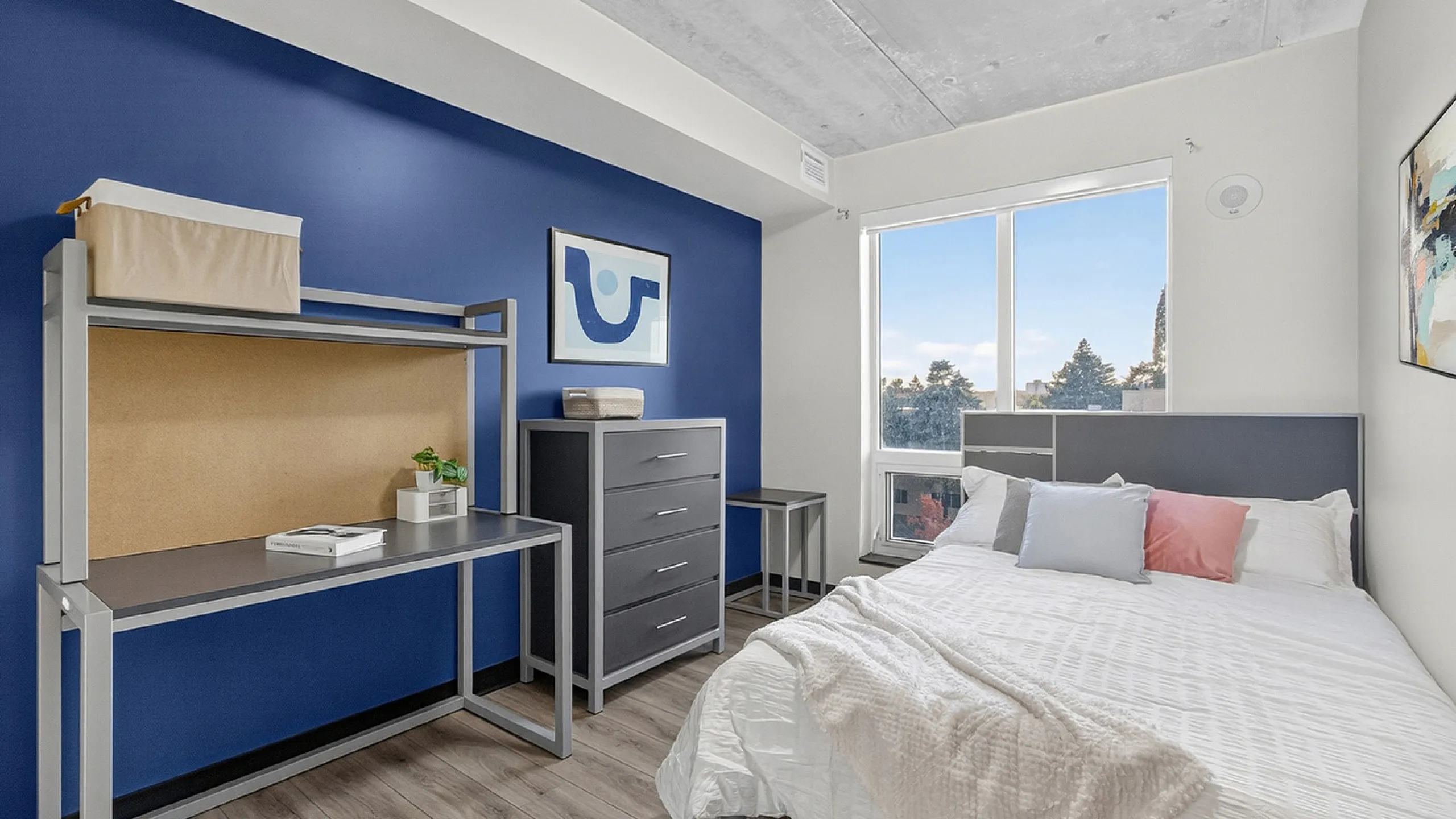 Contemporary bedroom with vibrant blue accent wall, sleek desk, and large window offering natural light.
