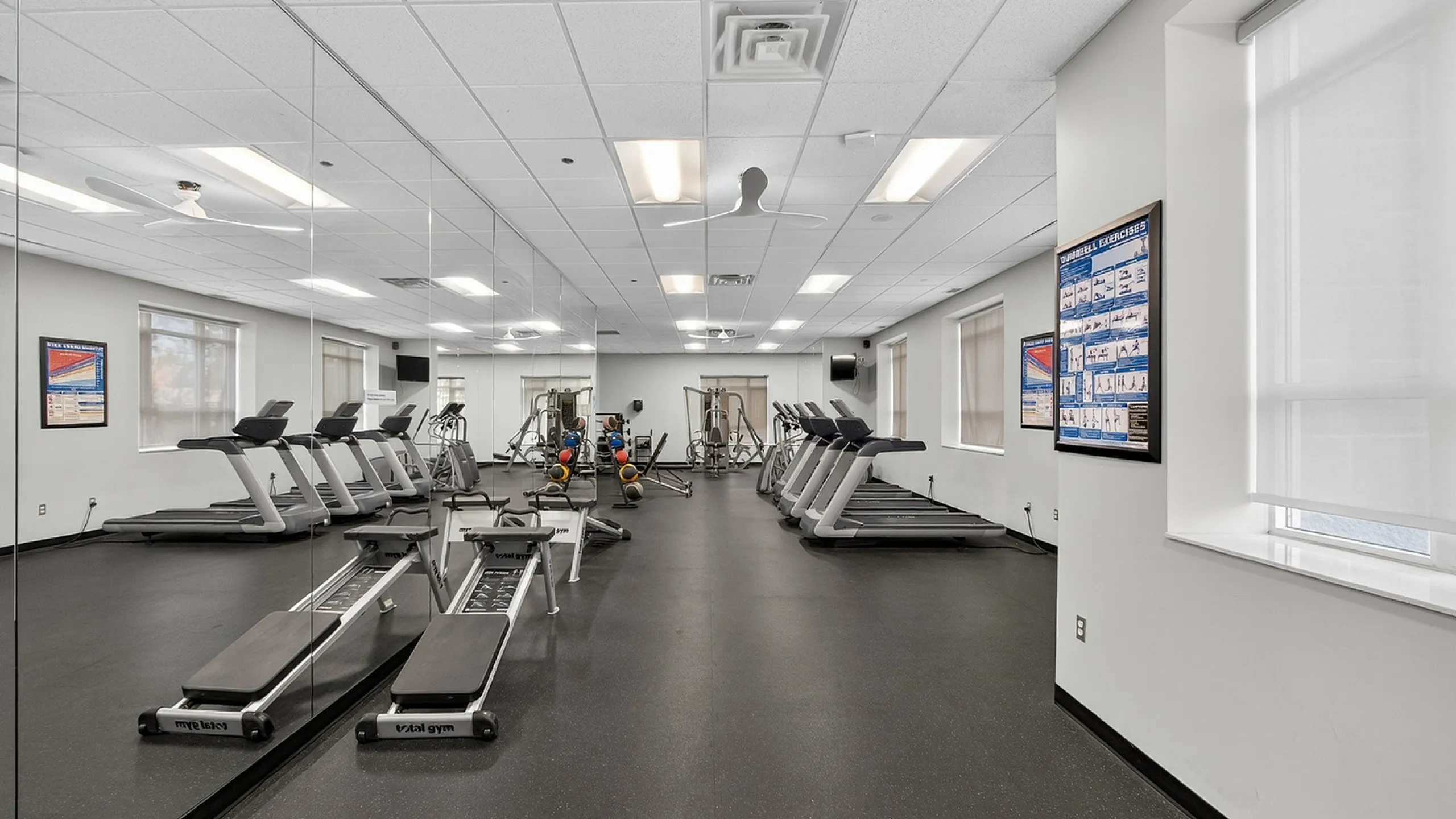 Modern fitness center with state-of-the-art treadmills, mirrored walls, and bright natural lighting.