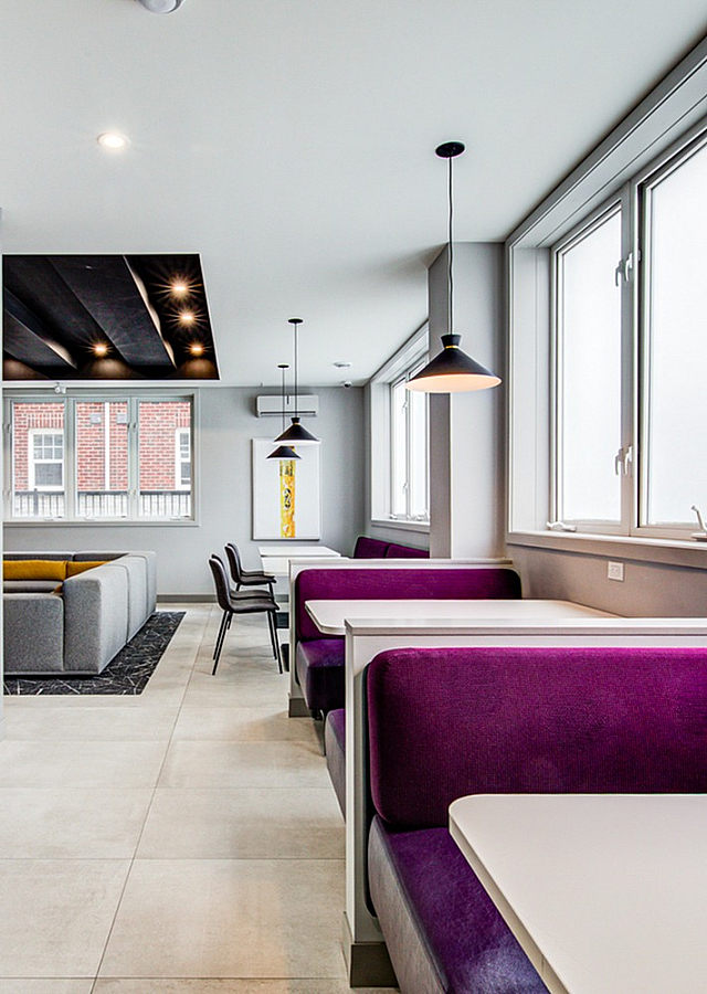 Modern communal lounge area with stylish purple booth seating, ample natural light, and sleek pendant lighting.