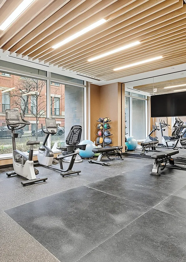 Modern gym with state-of-the-art fitness equipment, including exercise bikes and weight machines, featuring large windows for natural light.