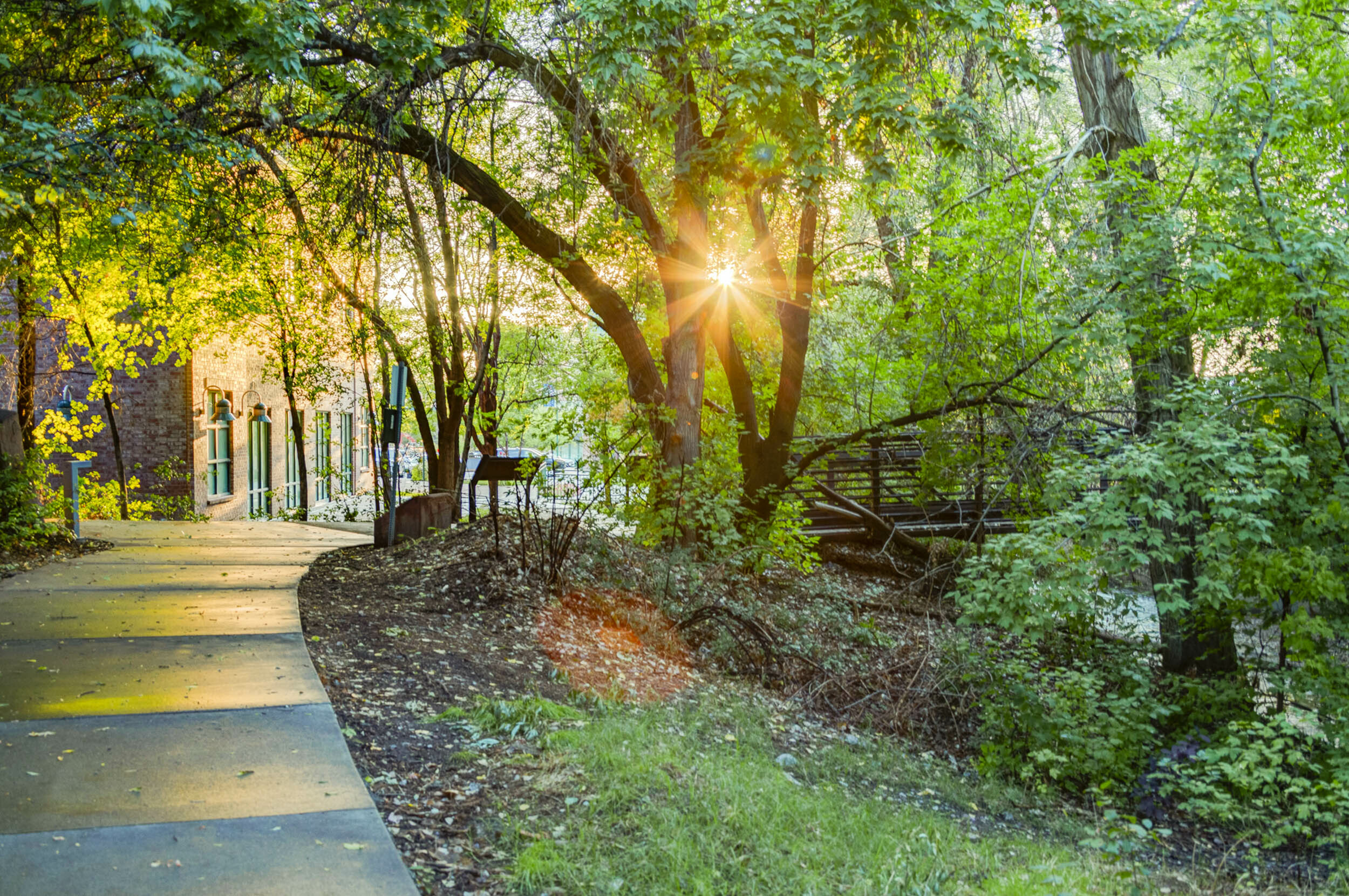 Image of Hidden Hollow Parley's Trail leading towards Sugar House Park