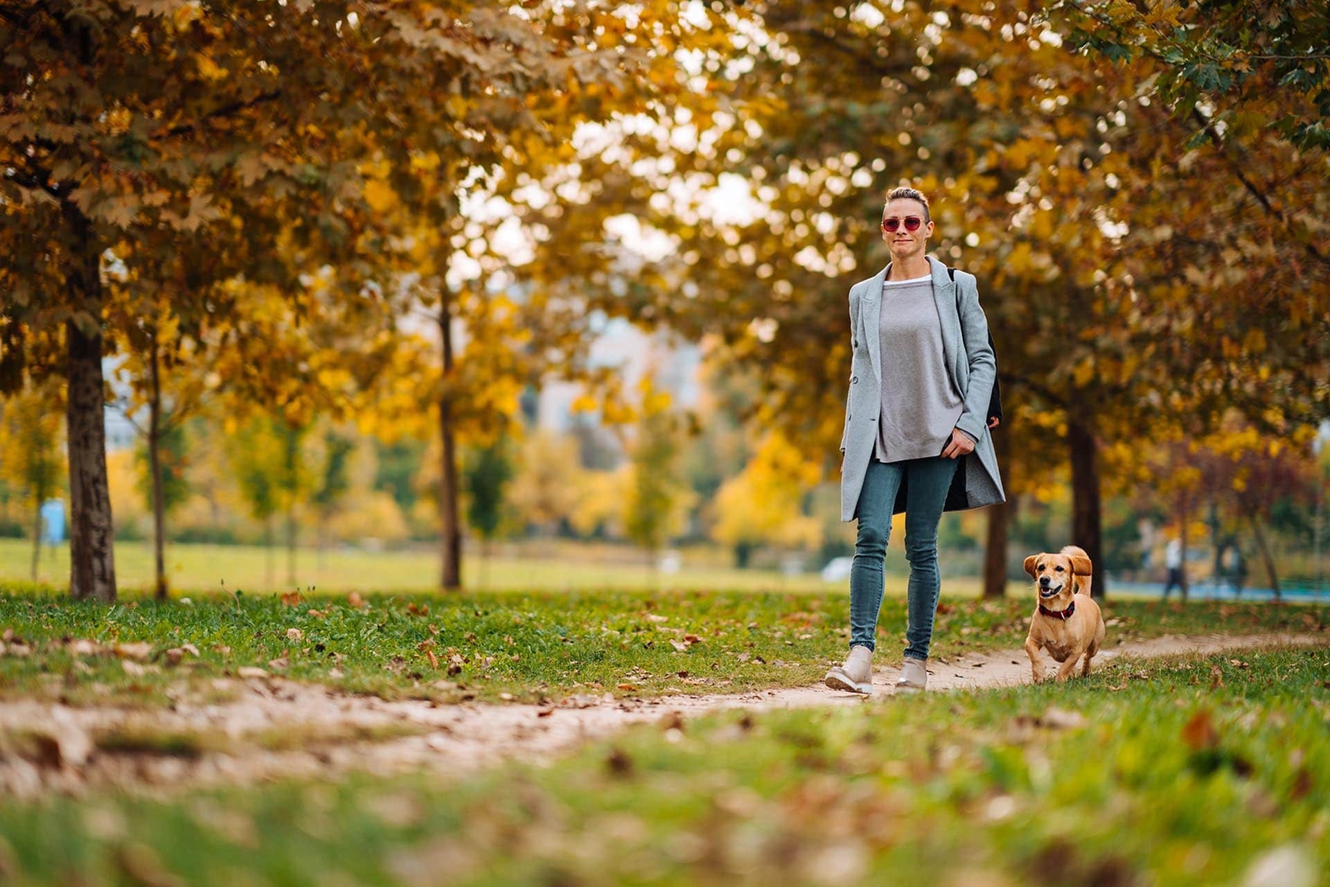 Image of a Lady and her dog at the park