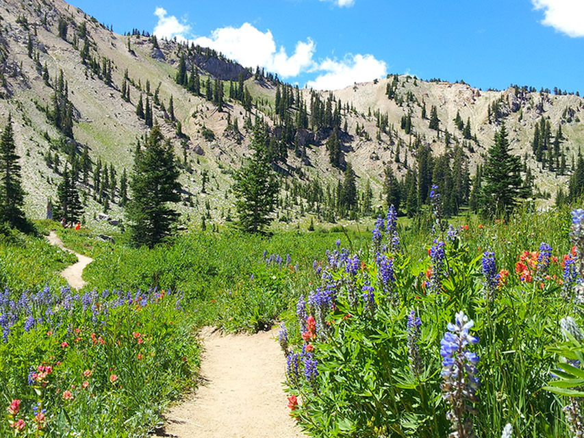 Lake Mary trail