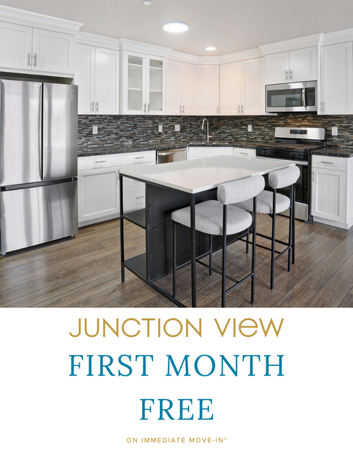 Junction View