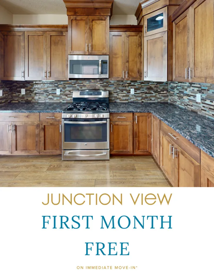 Junction View