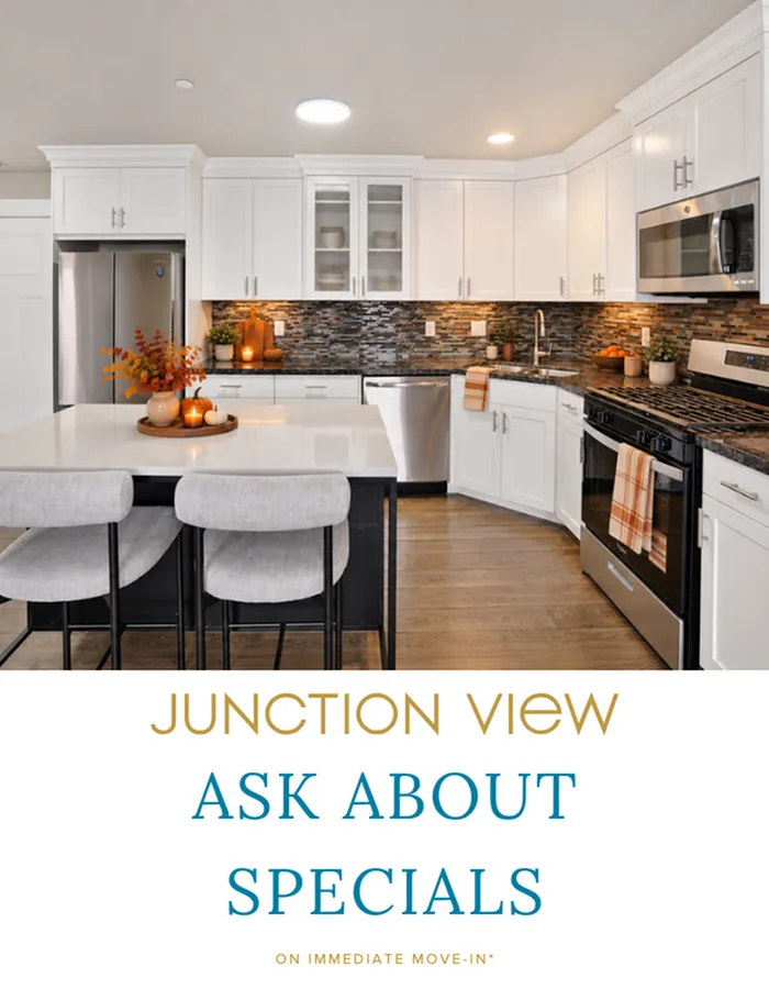 Junction View