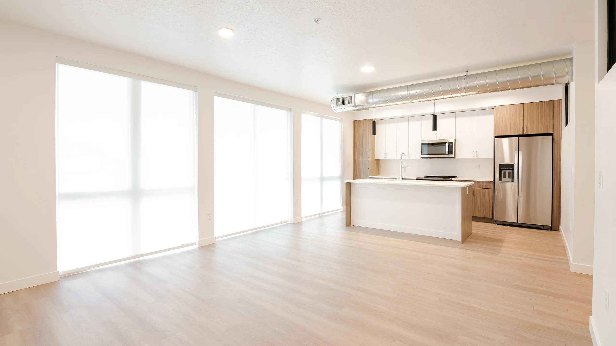 Dixon Place Living room and Kitchen