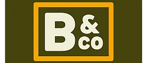 Bold and vibrant logo featuring a large 'B & co' in a modern, framed design, set against a stylish olive green backdrop.