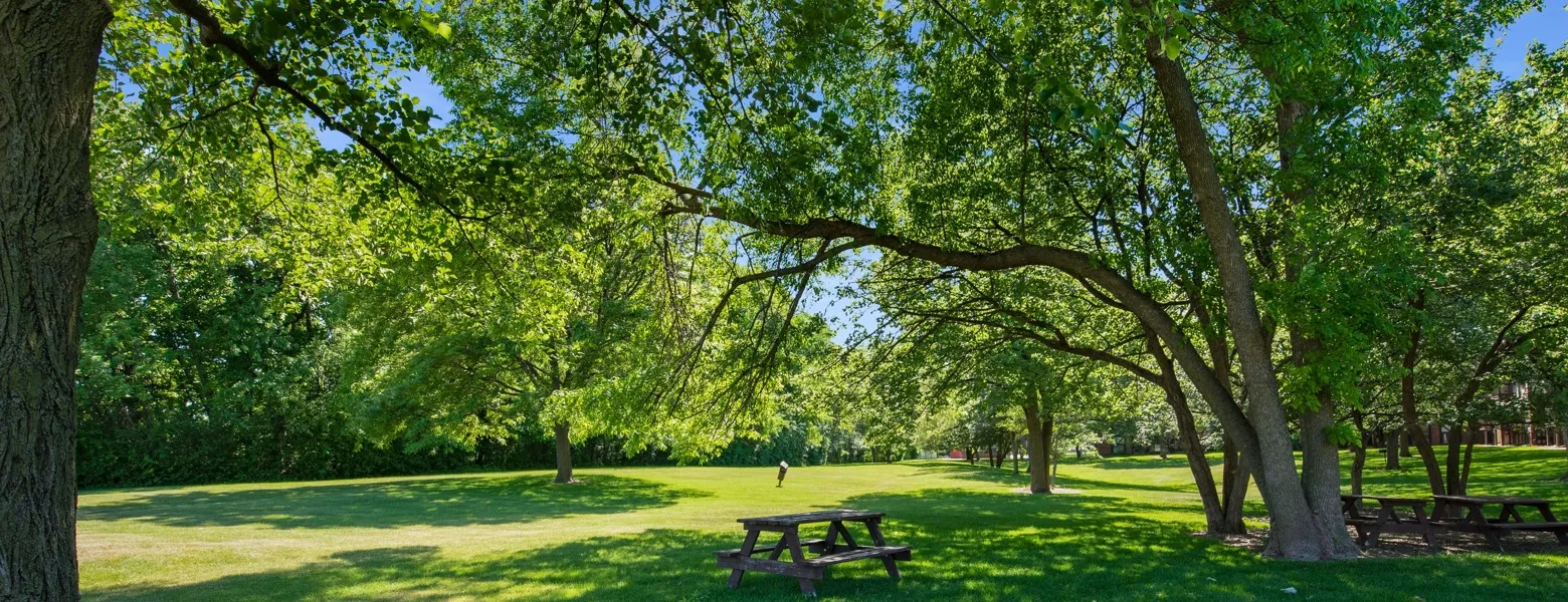 Large grass tree-covered area of the property grounds. The shade of the trees covers three scattered picnic tables.