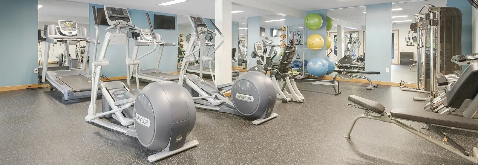 Spacious fitness facility with modern exercise equipment and vibrant fitness balls in well-lit room.