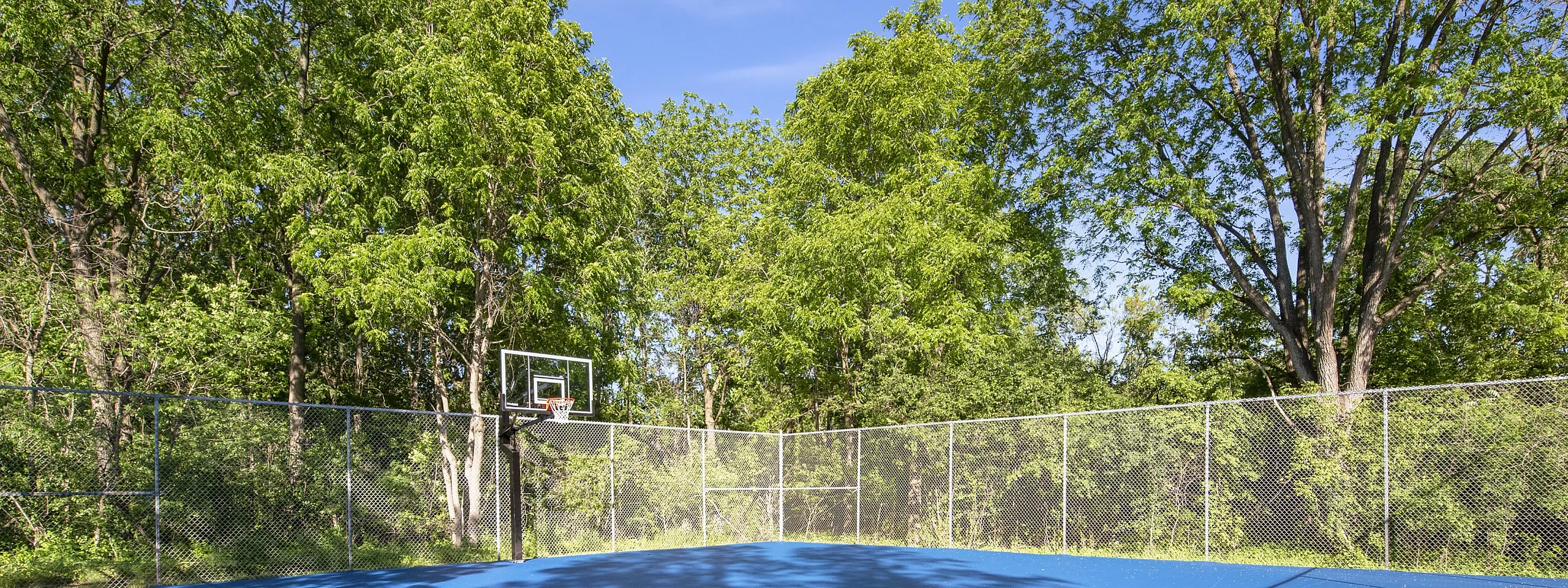 Outdoor blue basketball court surrounded by lush greenery and trees.