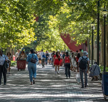 Exploring the Walkable Treasures of University City, Philadelphia-image