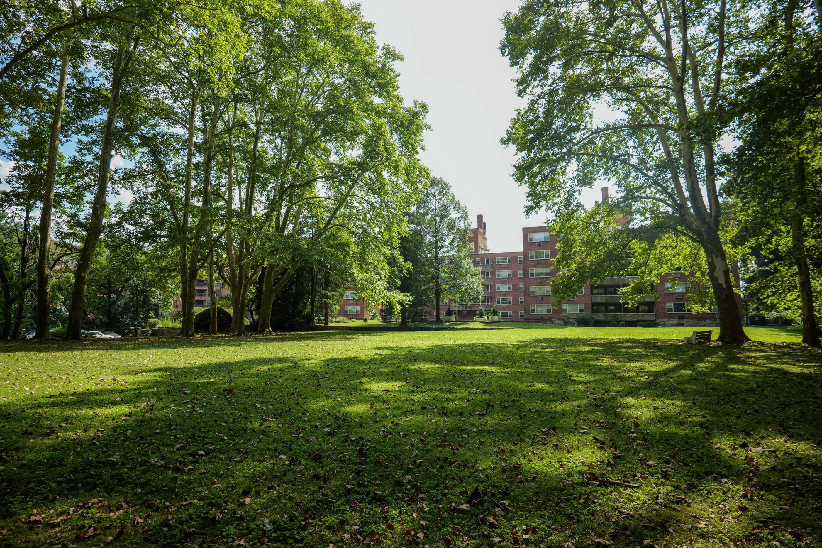 The 2026 Guide to Exploring Haverford: Coffee, Parks + Shopping-image