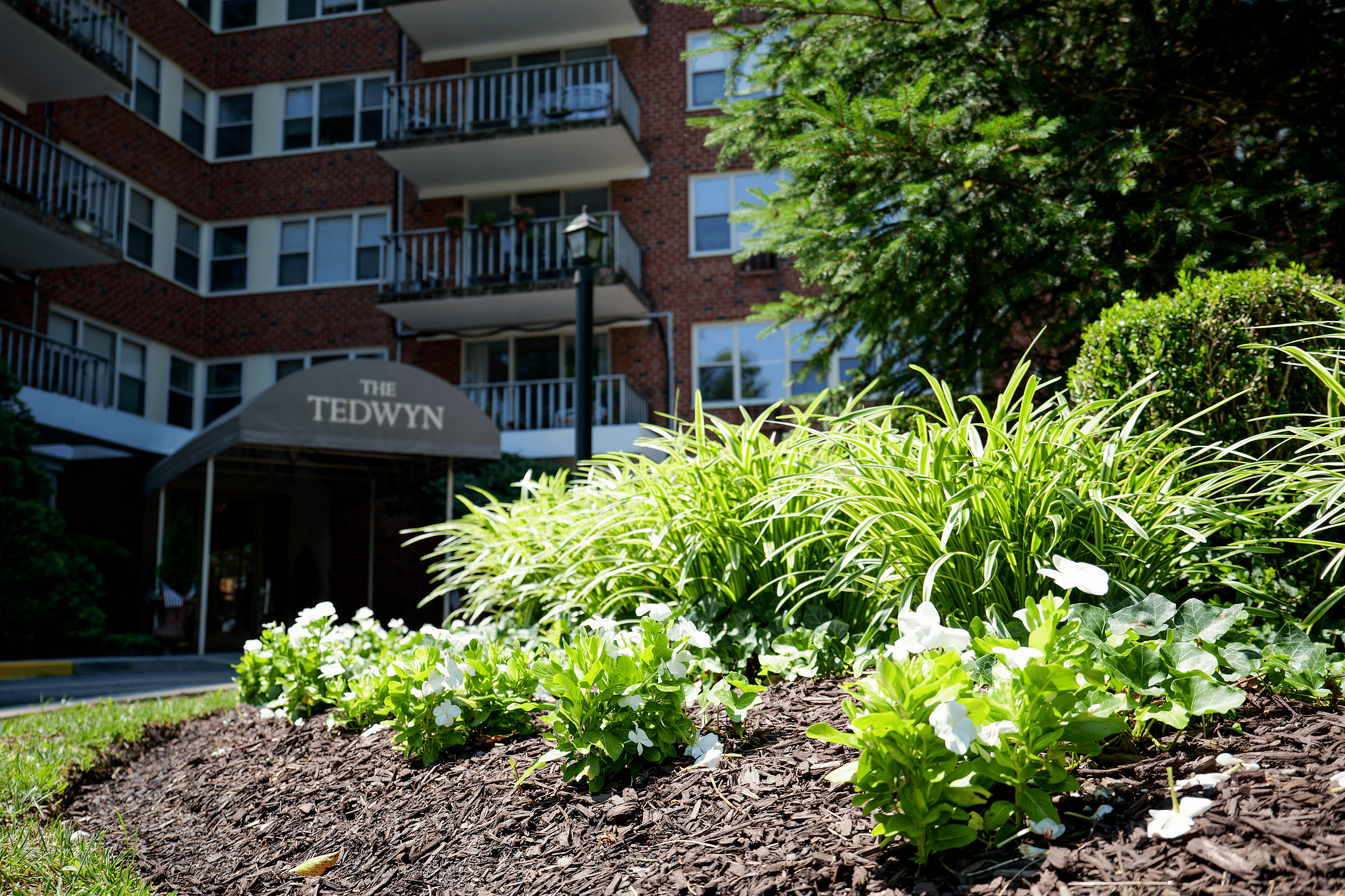Beautifully maintained landscaping with lush greenery and courtyards at a 55+ apartment complex on the Main Line in Philadelphia