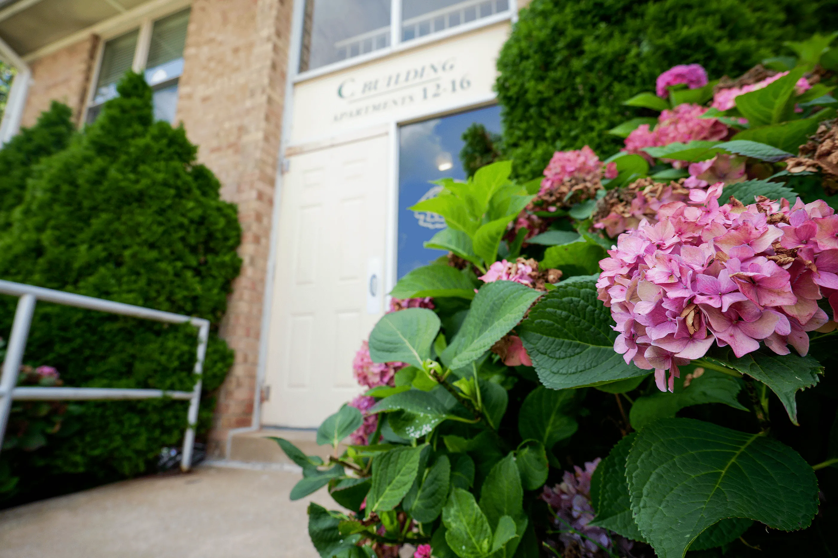 Trees and shrubs surrounding Woodmere Apartments