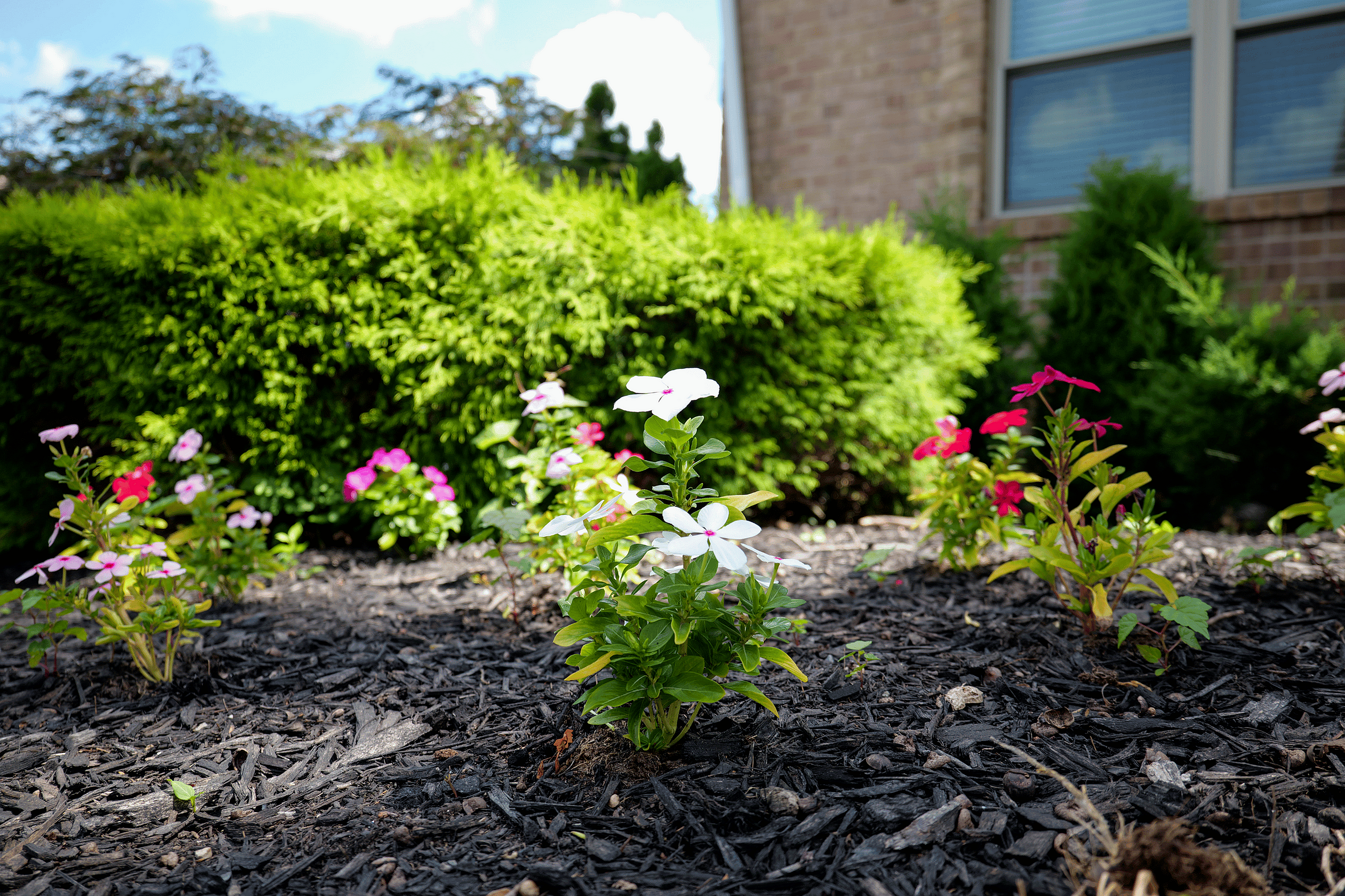 Well-kept landscaping at Woodmere Apartments in Roxborough