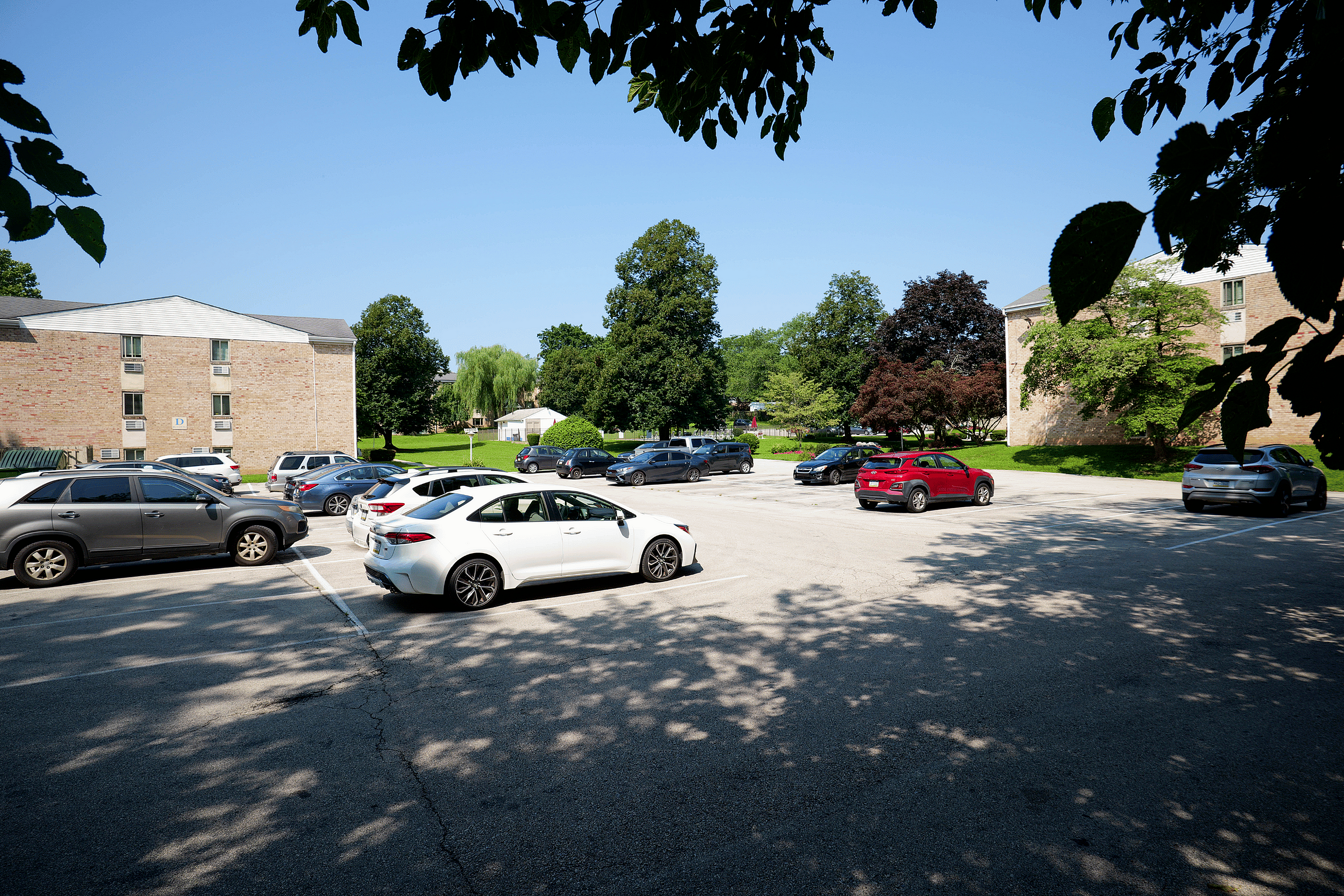 Charming residential parking lot surrounded by lush greenery and serene trees, highlighting convenience and natural beauty.