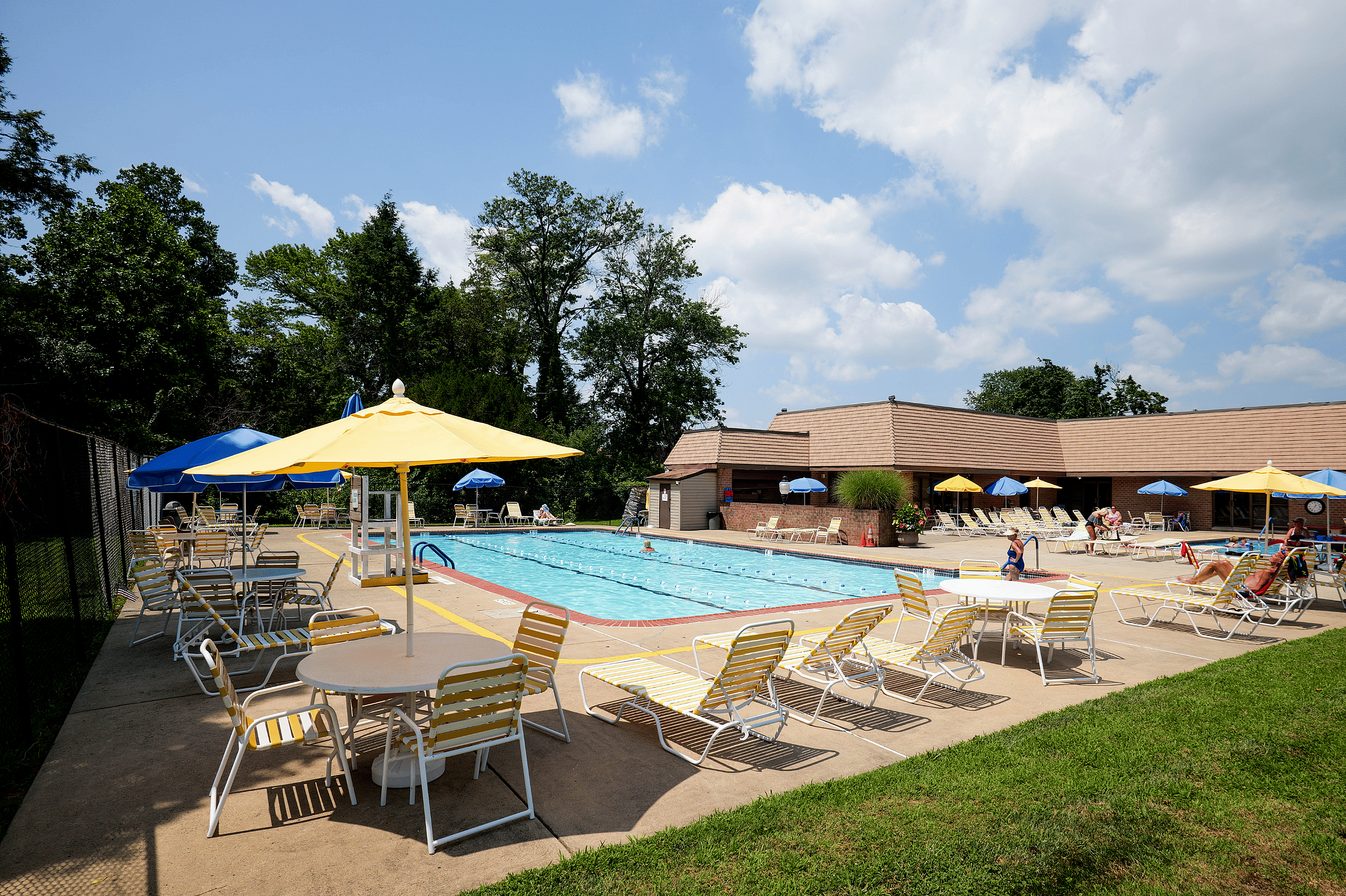 Vibrant outdoor pool area with yellow and blue umbrellas, sun loungers, and lush greenery, perfect for relaxation.