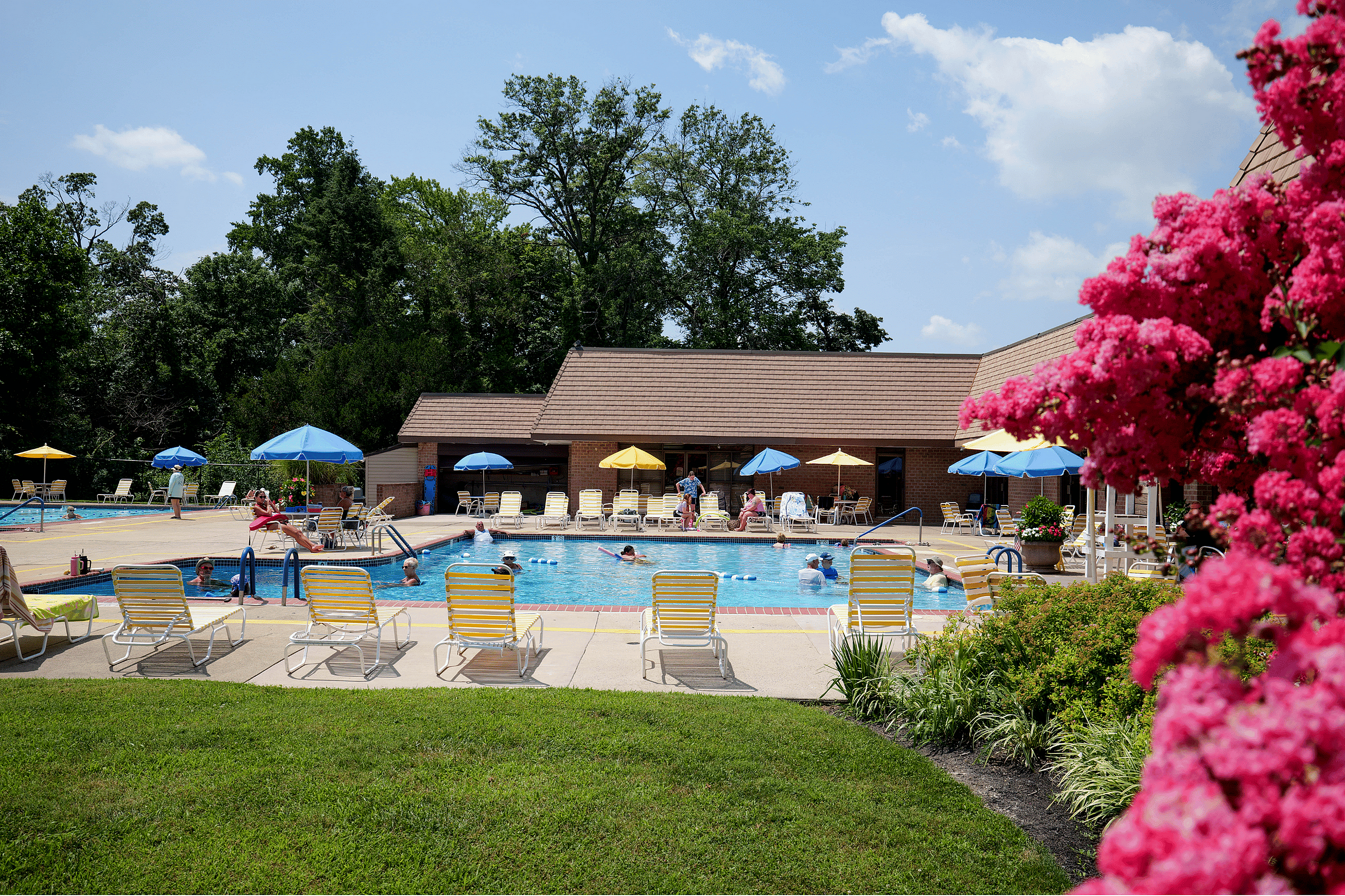 Inviting outdoor pool area with colorful umbrellas, sun loungers, and lush greenery, perfect for relaxation and leisure activities.