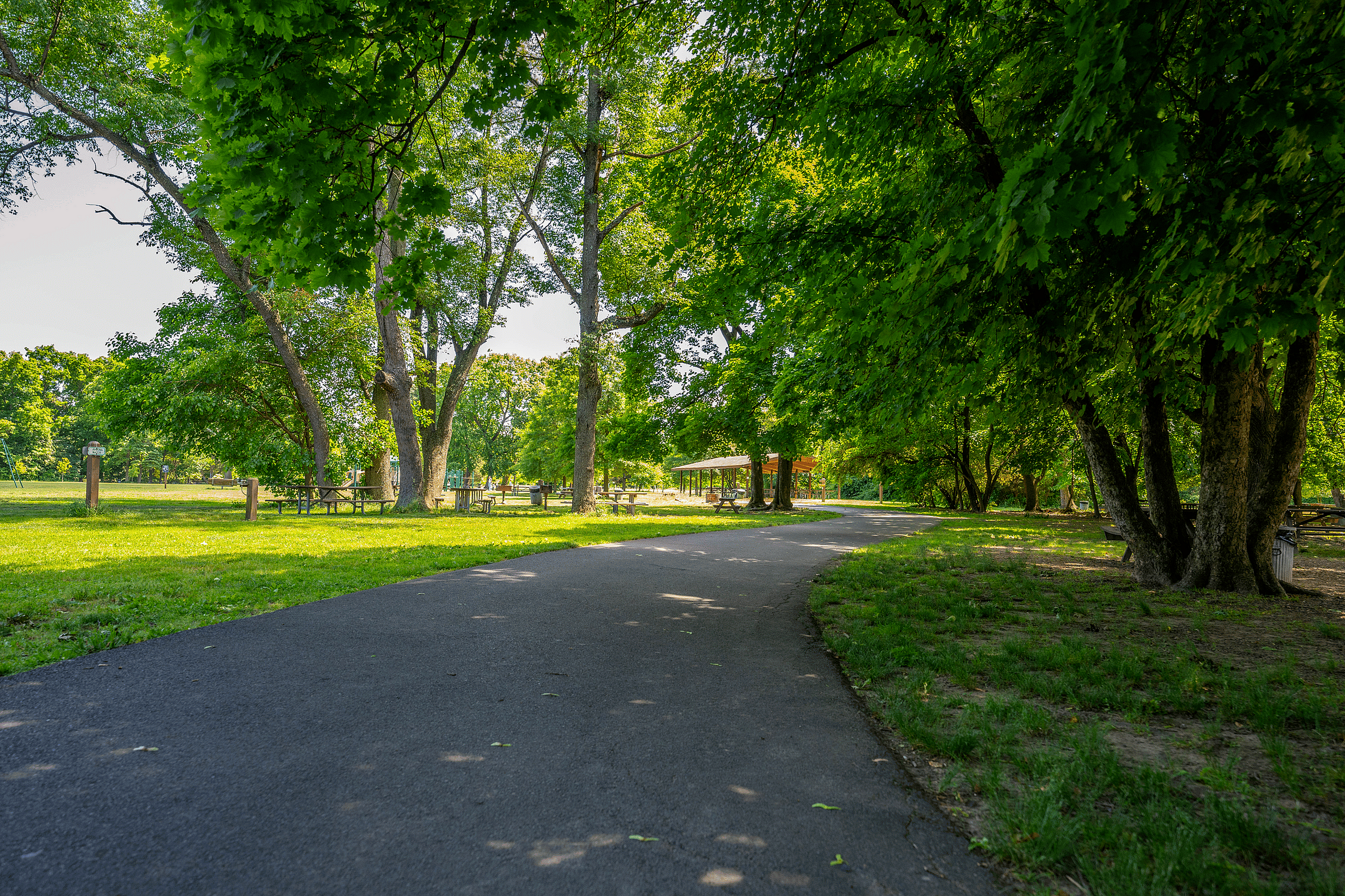 Scenic park pathway surrounded by lush green trees and open grassy areas, ideal for leisurely strolls and enjoying nature.