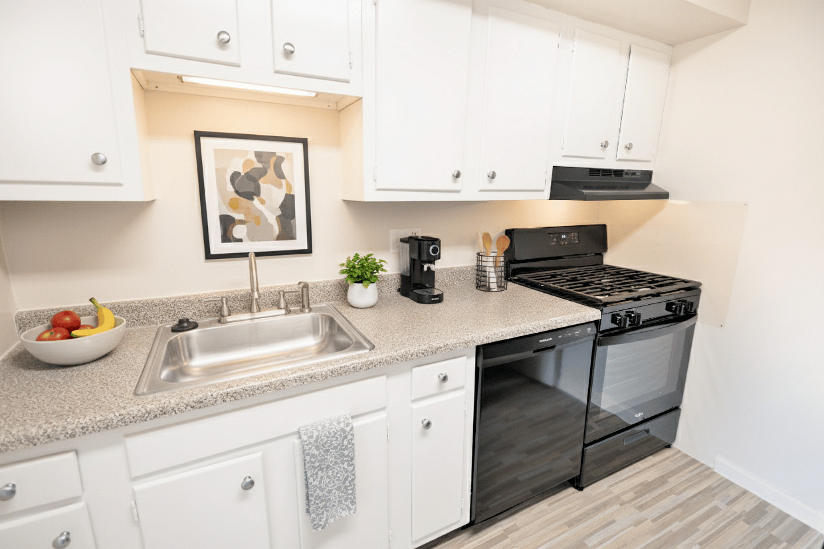 Charming modern kitchen with sleek white cabinets, stainless steel sink, and stylish appliances for a sophisticated touch.