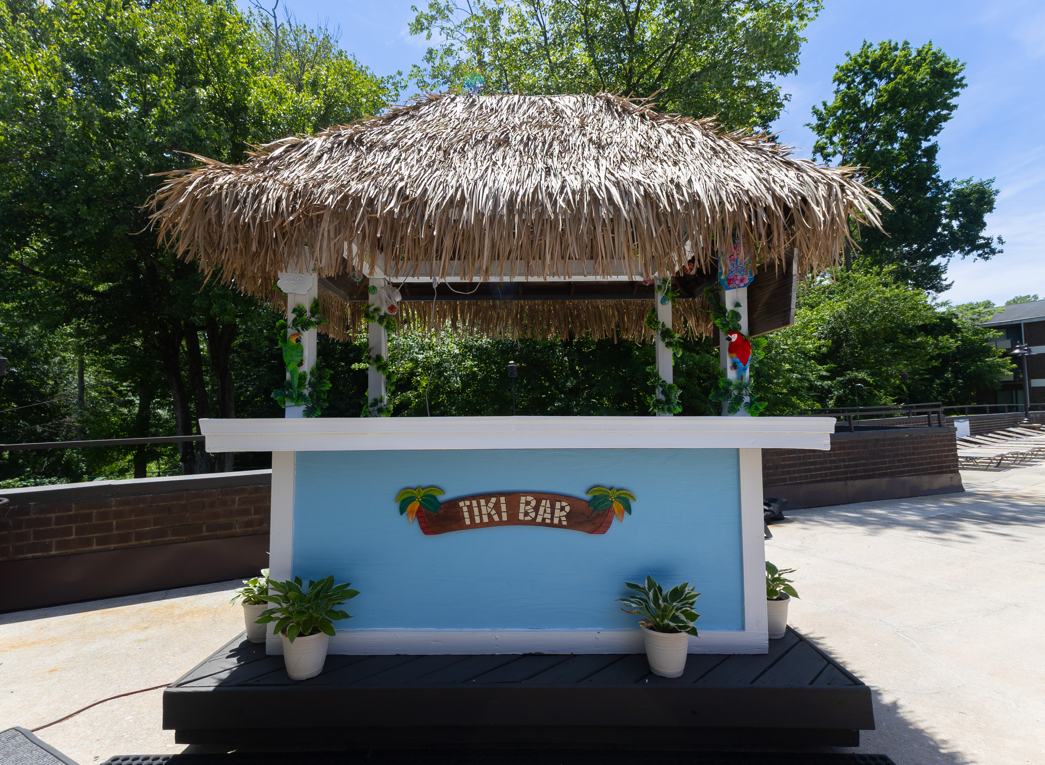 Charming outdoor tiki bar with a thatched roof, set amidst lush greenery, perfect for a tropical retreat or poolside relaxation.