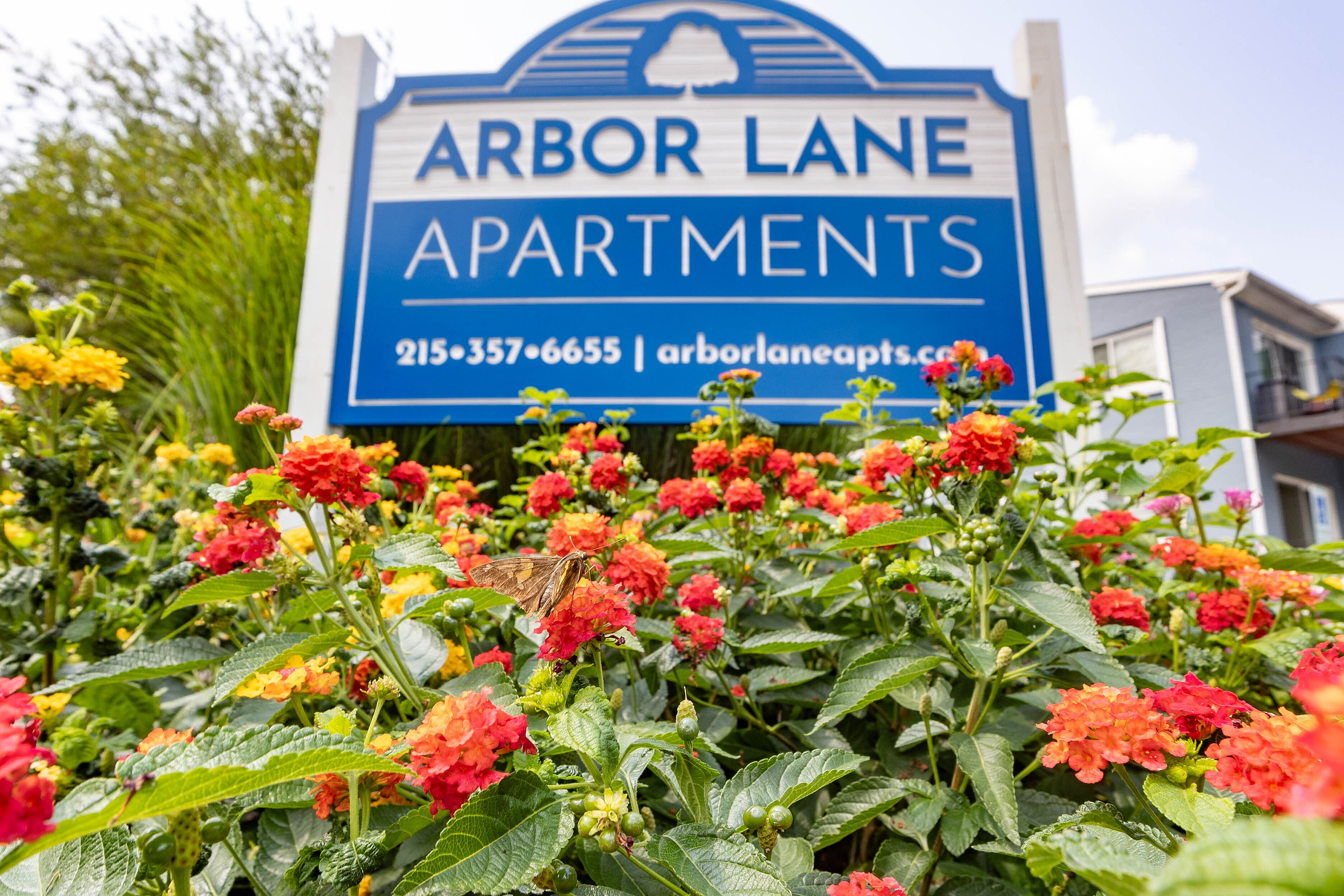 Charming entrance to Arbor Lane Apartments, featuring vibrant flowers and lush greenery for welcoming curb appeal.