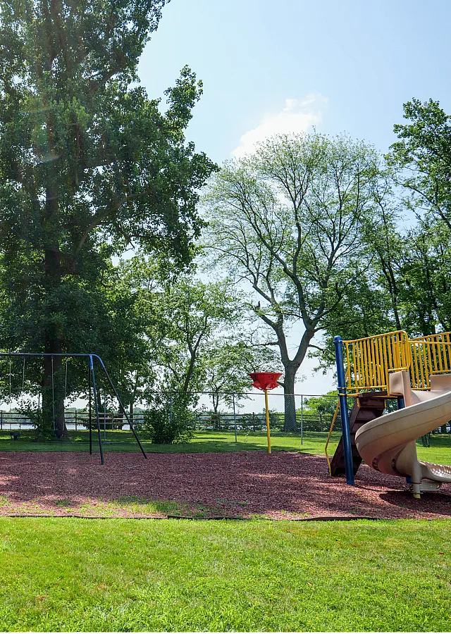 Tranquil park playground featuring a modern slide, swing set, and lush greenery, perfect for family fun and relaxation.