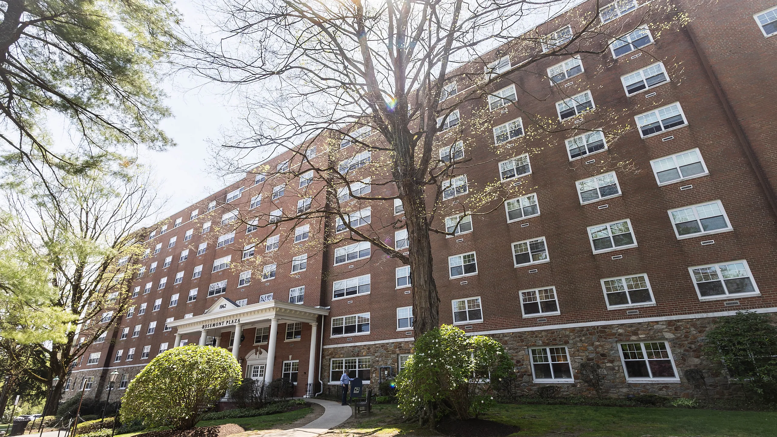 Charming brick apartment building surrounded by lush greenery and tall trees, offering a serene living environment with ample natural light.