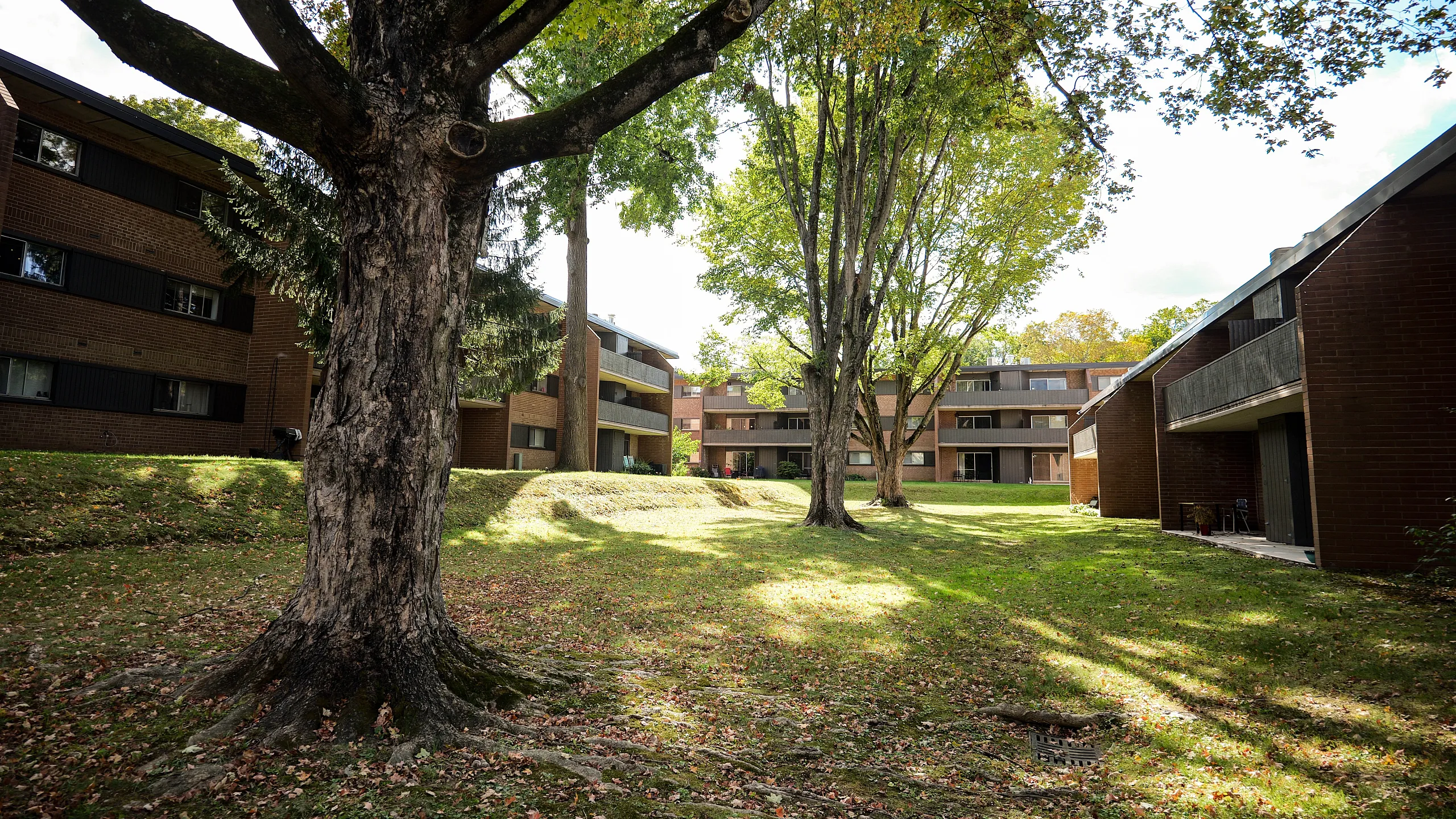 Serene apartment complex with lush greenery and mature trees, offering a peaceful living environment.