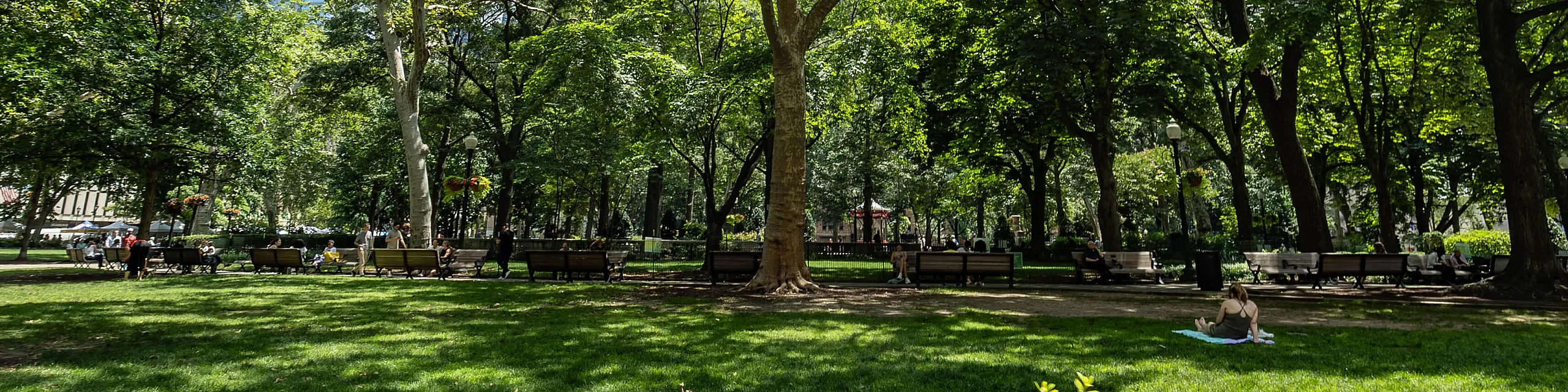 Lush green park with tall, leafy trees and cozy benches, perfect for a relaxing day outdoors.