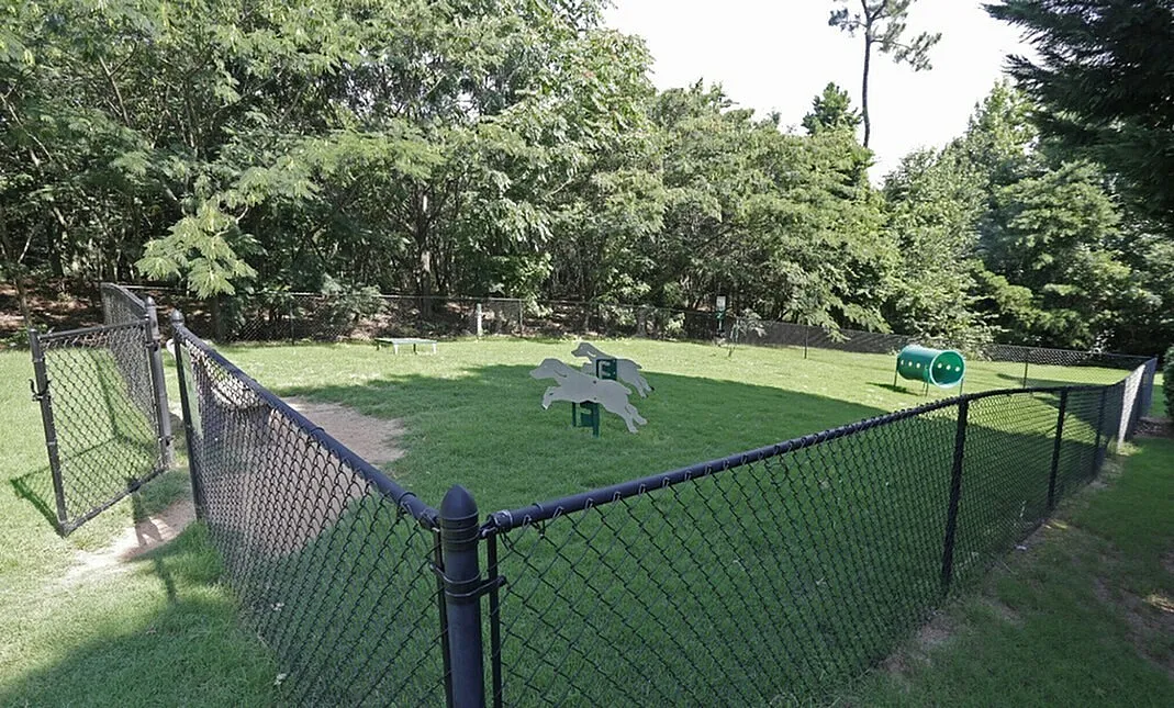 Spacious and secure outdoor dog park with agility obstacles, lush green grass, and shaded areas surrounded by forest, perfect for pet-friendly living.