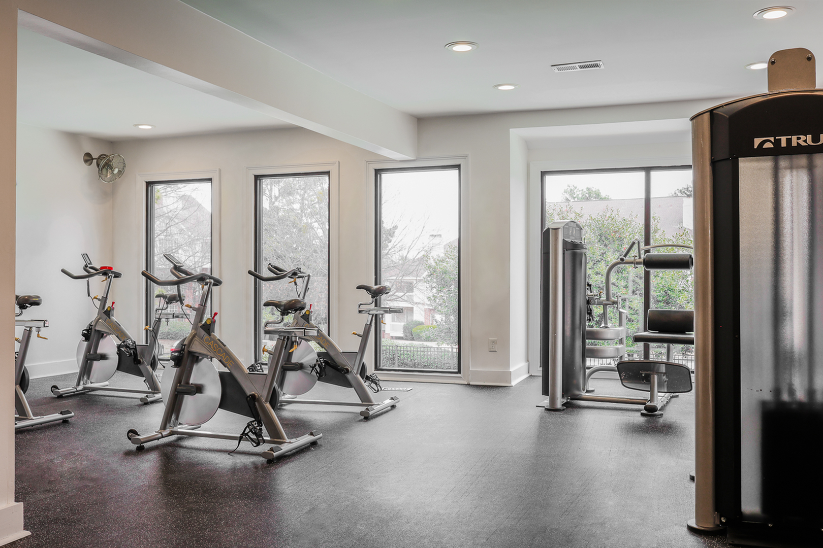 Sleek modern gym with exercise bikes and large windows for natural light, perfect for invigorating workouts.