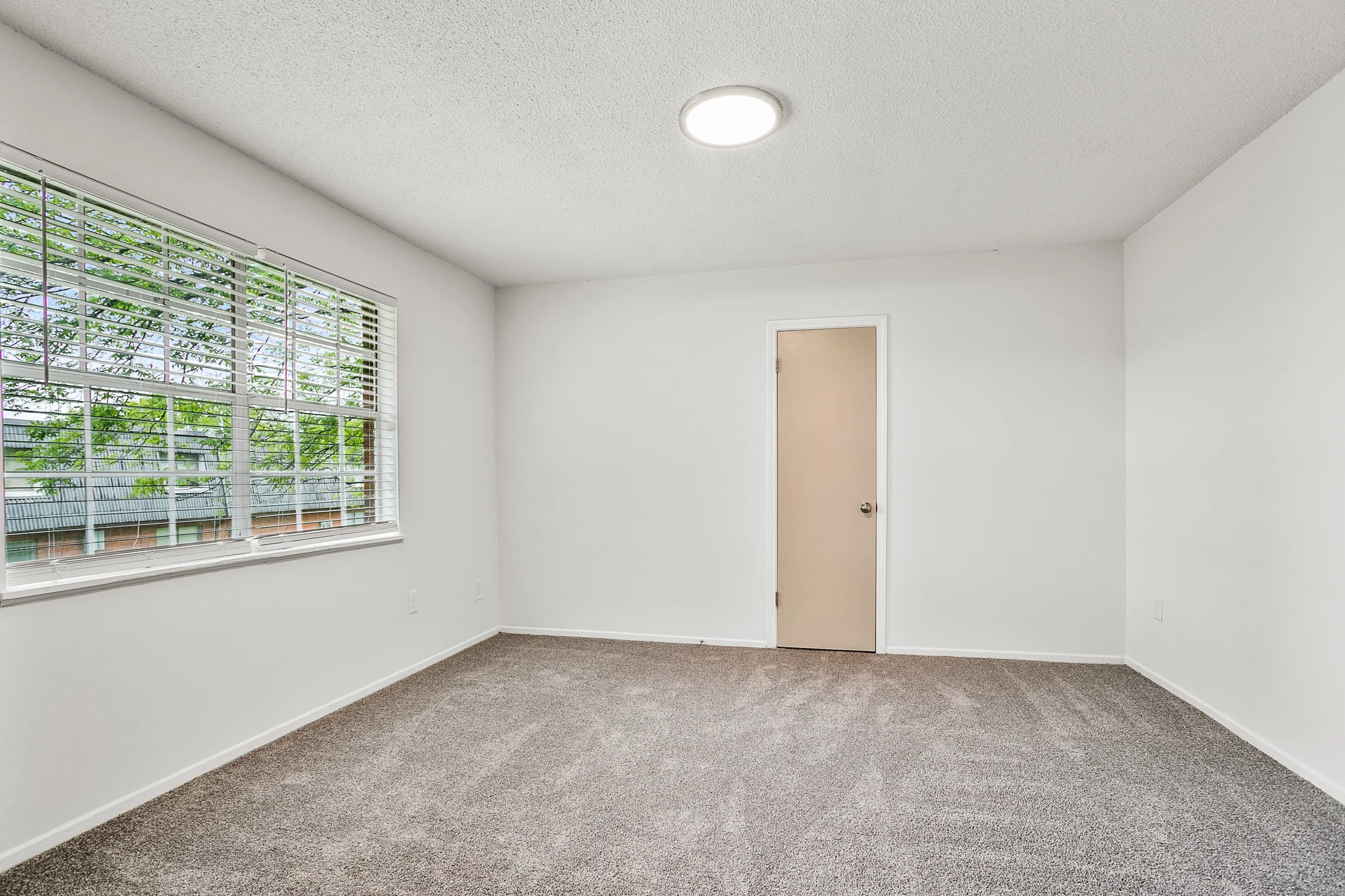 Room (3)