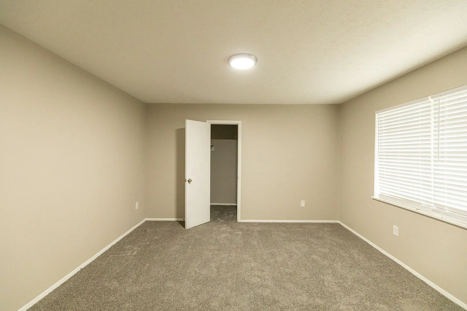 Room (2)